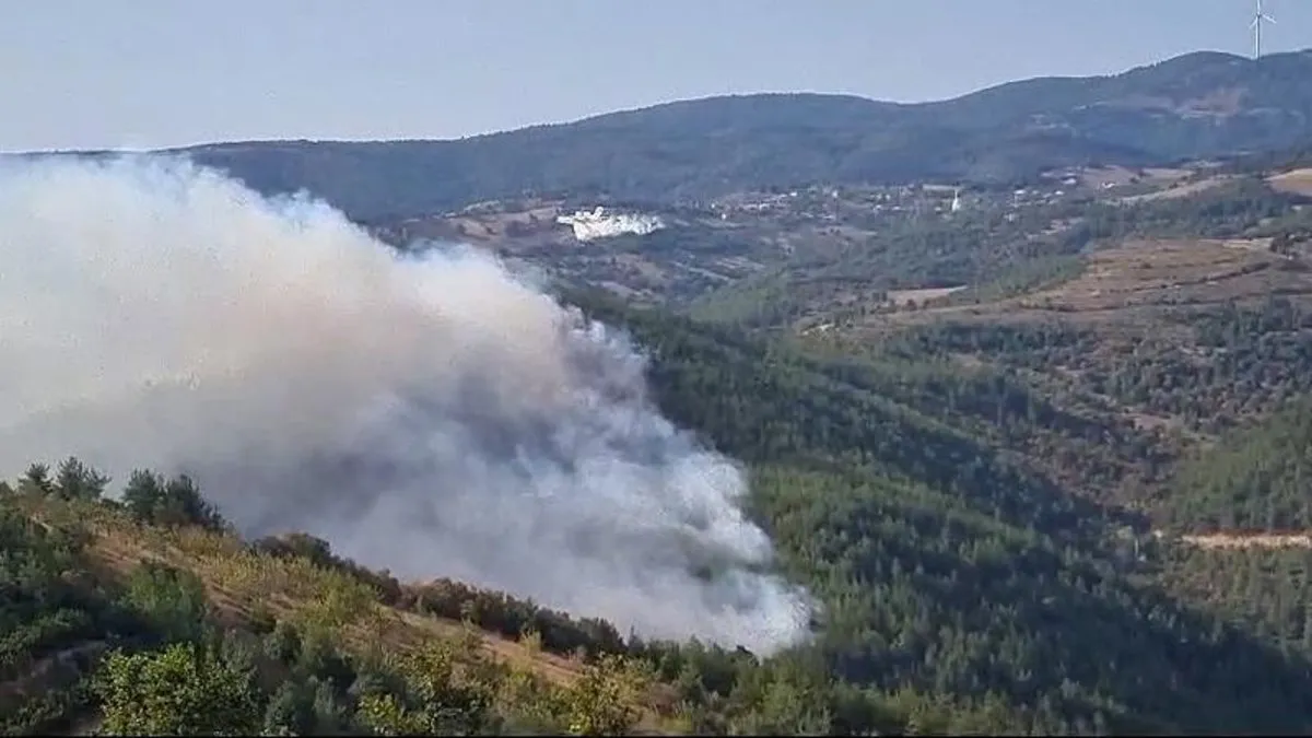 İznik’te çıkan orman yangınına 6 uçak ve 3 helikopter müdahale ediyor