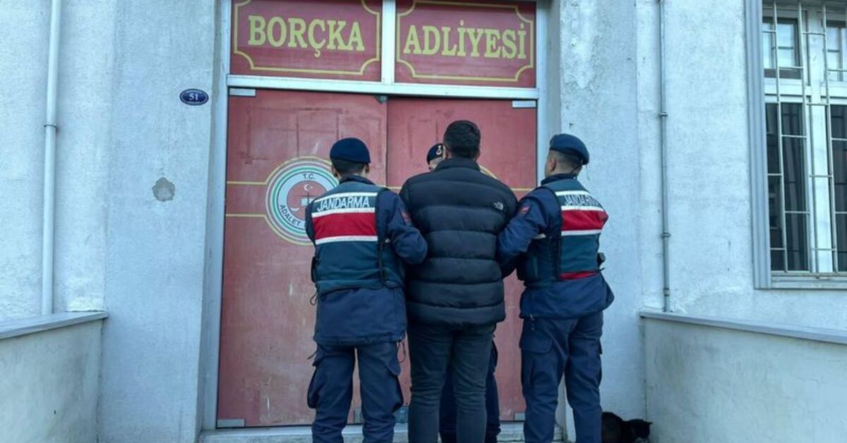 Borçka’da ormanda izinsiz kesimle ilgili kooperatif başkanı gözaltına alındı